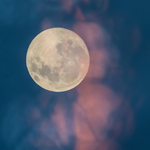 Moonlight Harmony